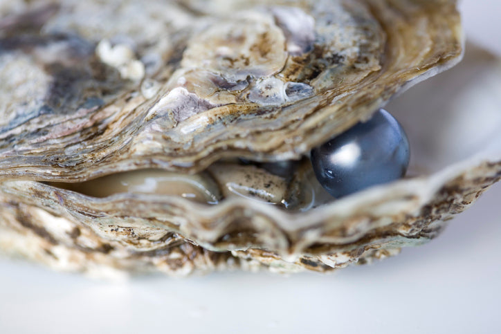 Tahitian Pearl Culture