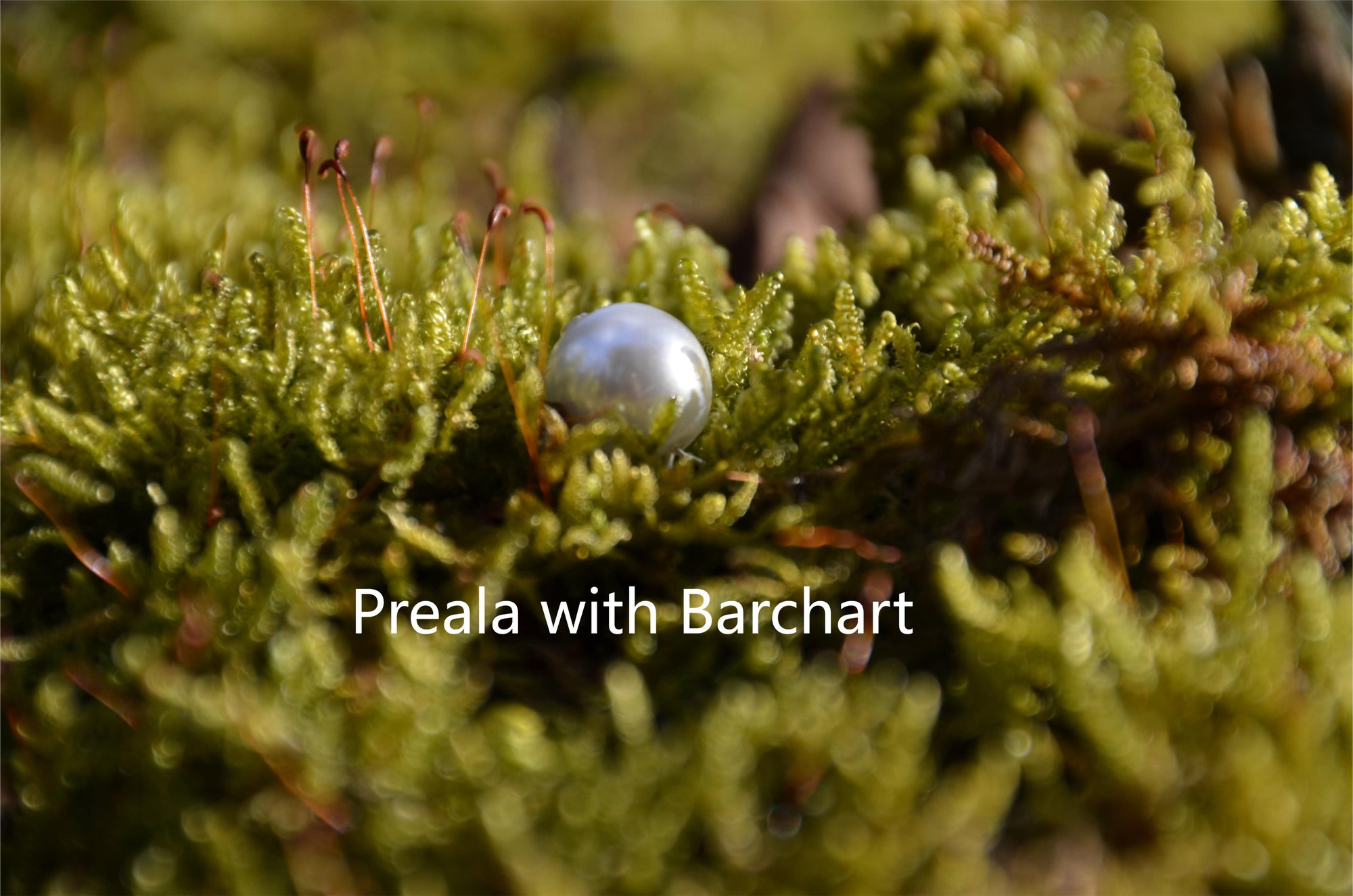 Preala with Barchart